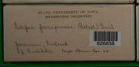 Image Associated With the Occurence